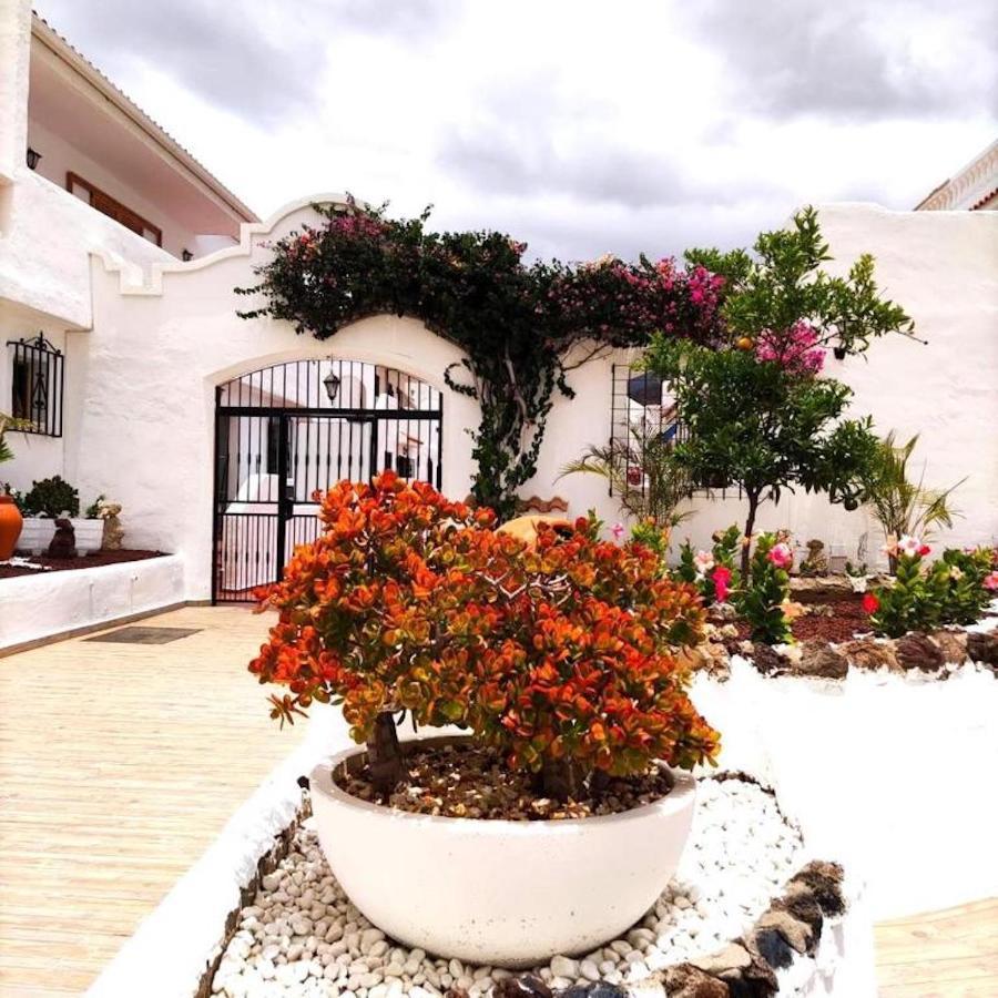 91 Port Royale Cristianos Apartamento *